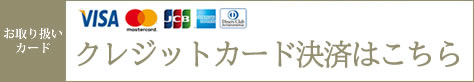 恵比寿メンズエステＬｙｎｘ(リンクス)のクレジットカード決済